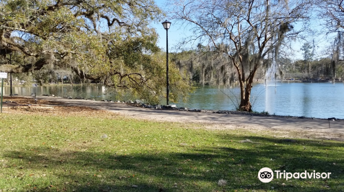 Lake Ella Park