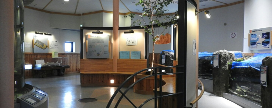 Bifuka Sturgeon Museum