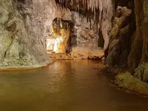 Petrifying Fountains of Saint-Nectaire