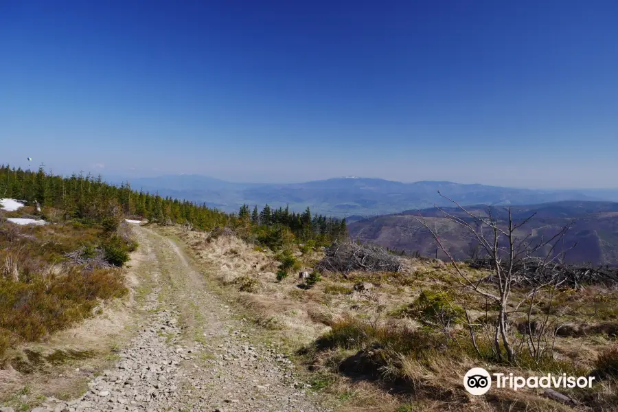 Park Krajobrazowy Beskidu Śląskiego/Beskid Śląski landscape park