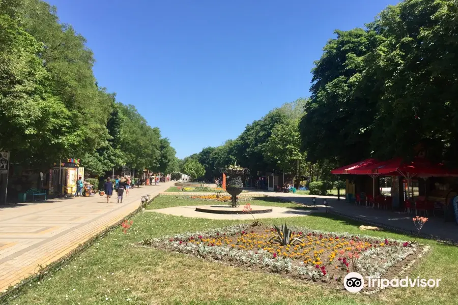 Park of Ivan Poddubny