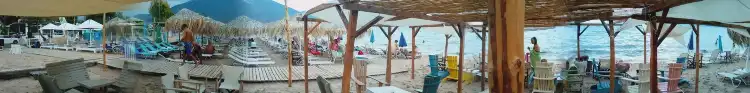 Chalcis