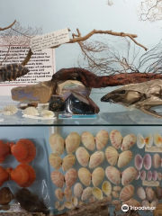 The Griffiths Sea Shell Museum and Marine Display