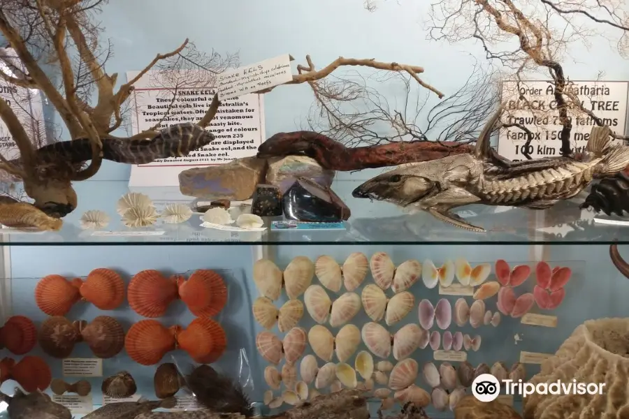 The Griffiths Sea Shell Museum and Marine Display