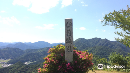 黒井城跡