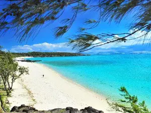 Ile aux Cocos