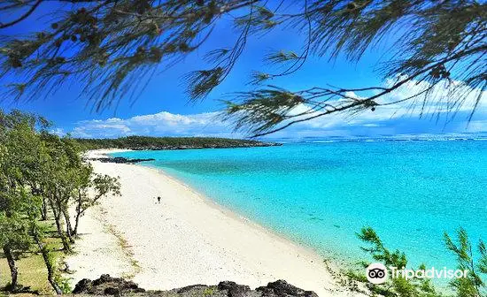 Ile aux Cocos