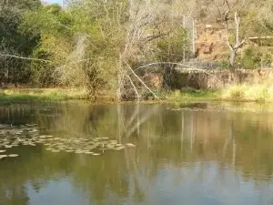 Mali National Park.