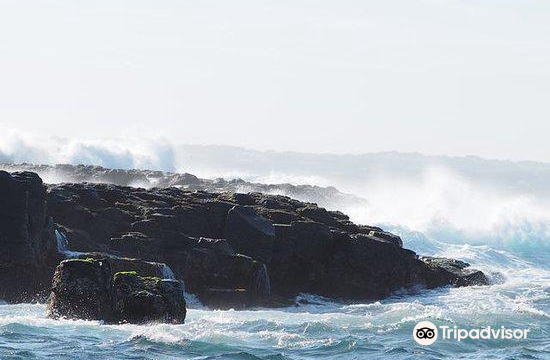 Phillip Island Nature Parks