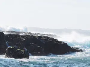 Phillip Island Nature Parks