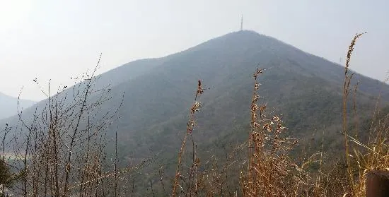 桂陽山
