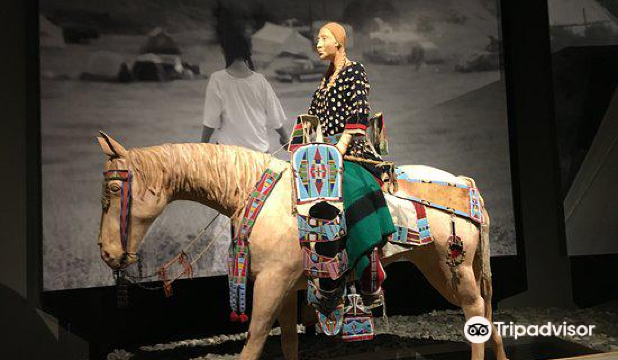 Draper Natural History Museum