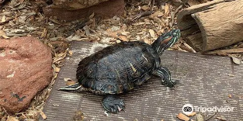 Armadale Reptile Centre