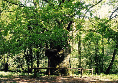 National Park Bory Tucholskie