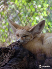 Haifa Zoo