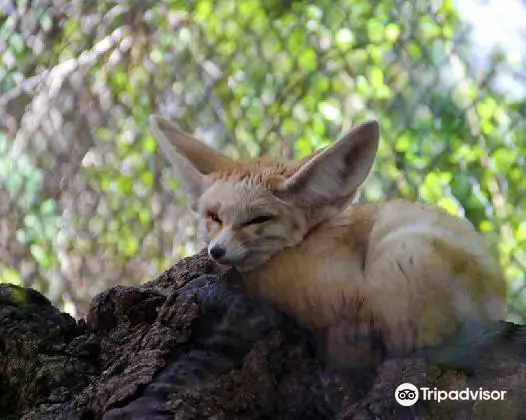 Haifa Zoo