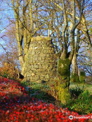 Wallace and Burns Cairn