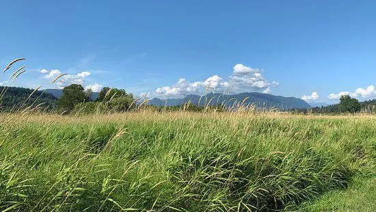 Colony Farm Regional Park