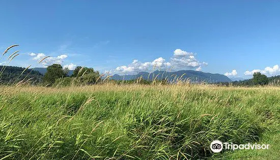 Colony Farm Regional Park