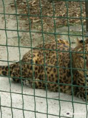 ミニス動物園