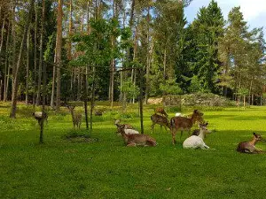 Wildgehege Hufeisen