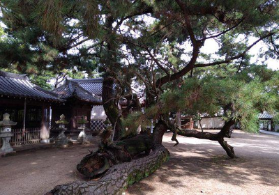 Takasago Shrine