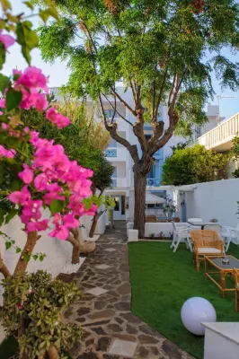 อีราโต้ โดย ซาเมียน แมร์