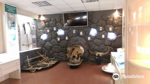 Museum of Archeology and Ethnography of the Siberian Branch of the Russian Academy of Sciences