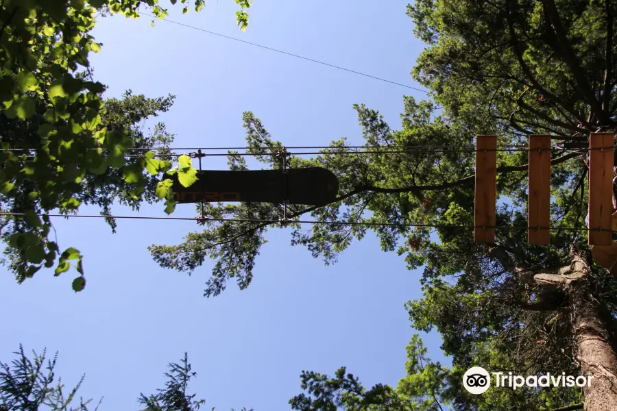 Adrenature Parc Aventure