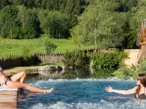 Mons Silva Private Luxury Chalets
