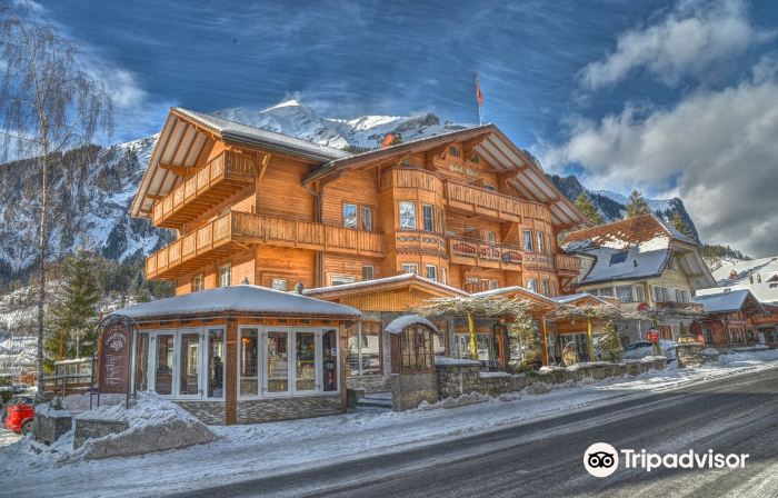 Chalet Hotel Adler AG