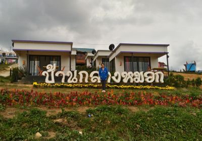 Scenic Phu Thap Boek