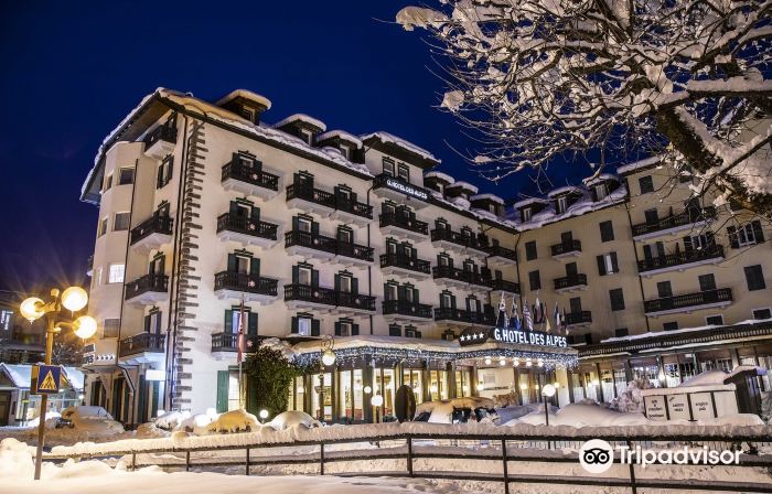 G. Hotel des Alpes (Classic since 1912)