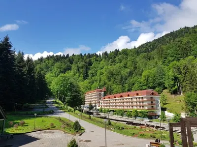 Sairme Hotels & Resorts Hotels in 
