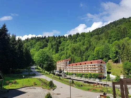 Sairme Hotels & Resorts Hotel a Sairme