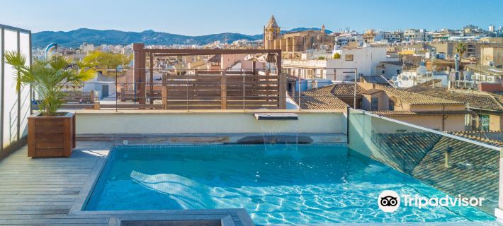 Petit Palace Hotel Tres Hotels in Palma de Mallorca