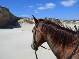 Grootbos Nature Reserve