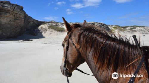 Grootbos Nature Reserve