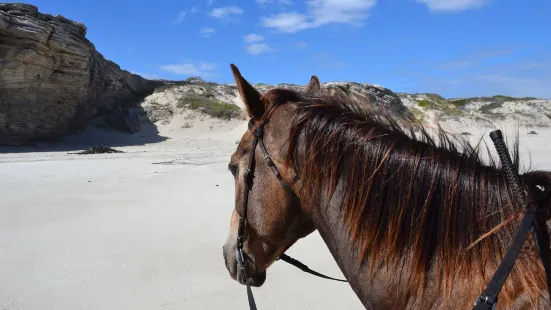 Grootbos Nature Reserve