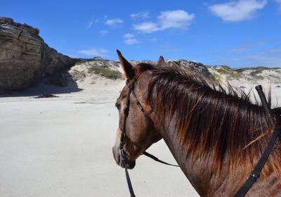 Grootbos Private Nature Reserve