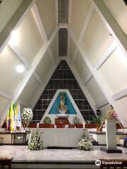 Catedral La Inmaculada Concepción