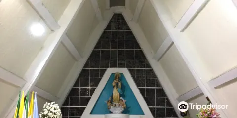 Catedral la Inmaculada Concepcion