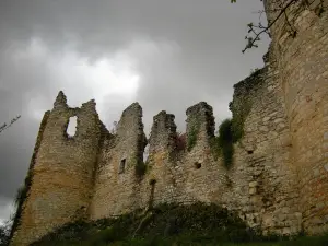 Castle Roussillon