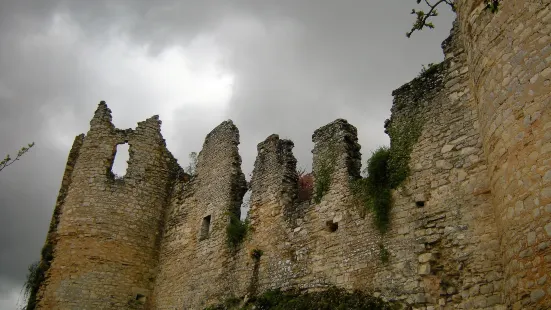 Castle Roussillon