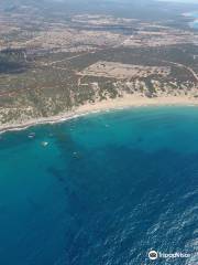 Lara Bay Turtle Conservation Station