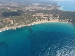 Lara Bay Turtle Conservation Station