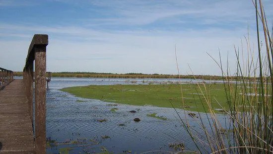 Parque Nacional Ciervo de los Pantanos