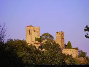 Gropparello Castle