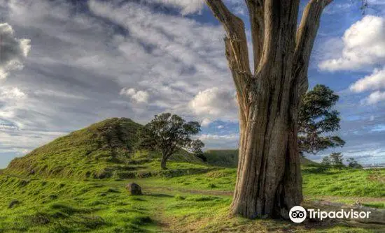 Mangere Mountain Education Centre