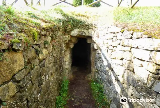 Etruscan Tomb at Monte Calvario